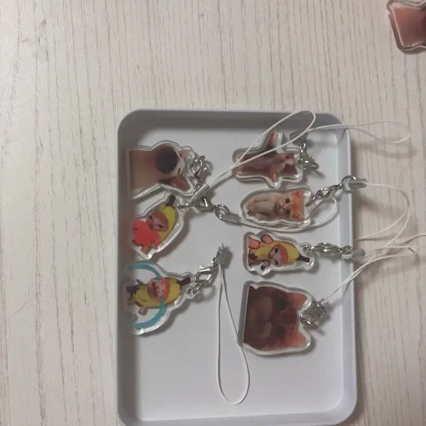 [BUNJANG] Cat Keychain / 고양이 키링