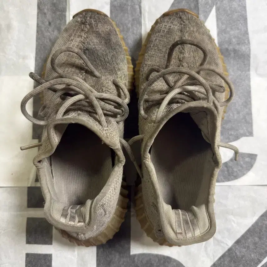 [BUNJANG] Adidas Yeezy Boost 350 V2 Sesame 255 / 이지부스트 350 v2 세서미 255