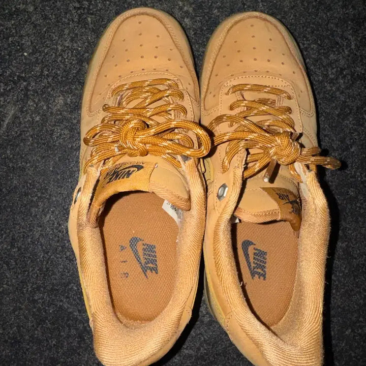 [BUNJANG] Nike Air Force 1 "Soy Sauce" (240mm) / 나이키 에어포스 된장포스 240