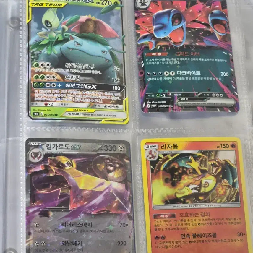 [BUNJANG] Pokémon Cards Bundle / 앨범에 있는 포켓몬카드 전부 팝니다