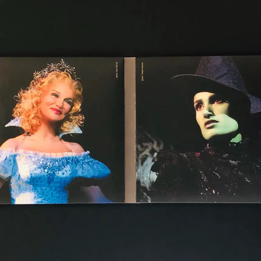 [BUNJANG] Wicked Musical OST 15th Anniversary Special Edition CD / [CD중고] 뮤지컬 위키드 O.S.T: 15주년 기념앨범