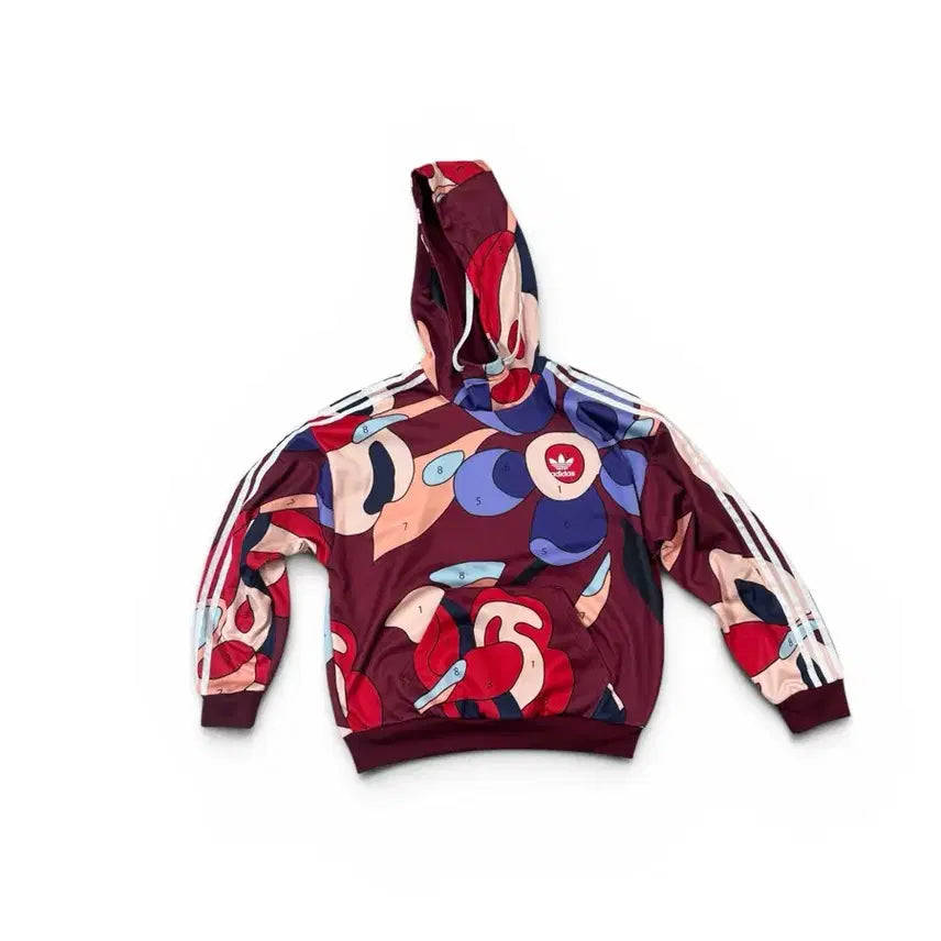 [BUNJANG] Adidas Hooded Sweatshirt / Adidas 아디다스 후드티