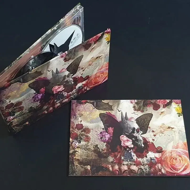 [BUNJANG] SADS Kiyoharu FALLING Ultimate Edition CD+DVD Limited Edition / 쿠로유메 키요하루 SADS 사즈 앨범 FALLING(CD+DVD) 한정반