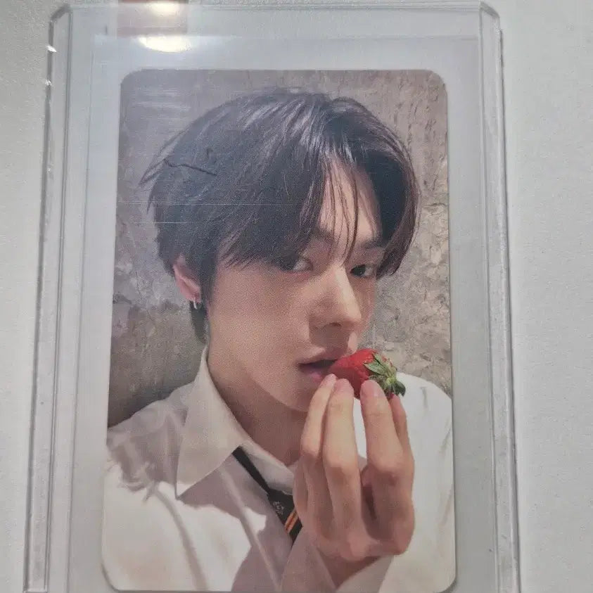 [BUNJANG] ILLIONAIRE Records Guangzhou Fan Sign Strawberry Version POB RD:ONE Alphadriveone / 이리오 광저우 팬싸 딸기 버전 비공포 알디원 알파드라이브원