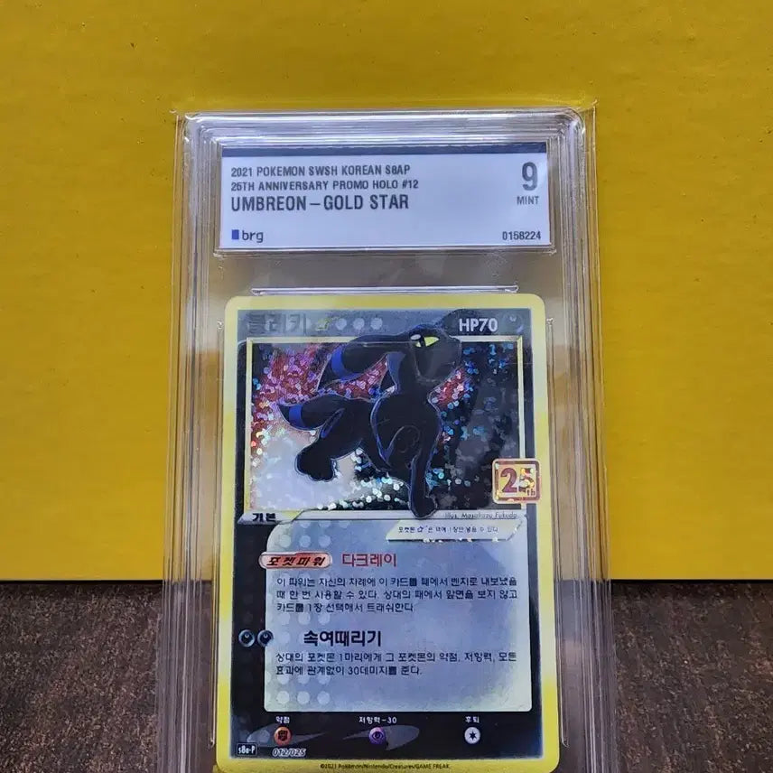 [SOLD OUT] 포켓몬 카드 25주년 블래키 골드스타