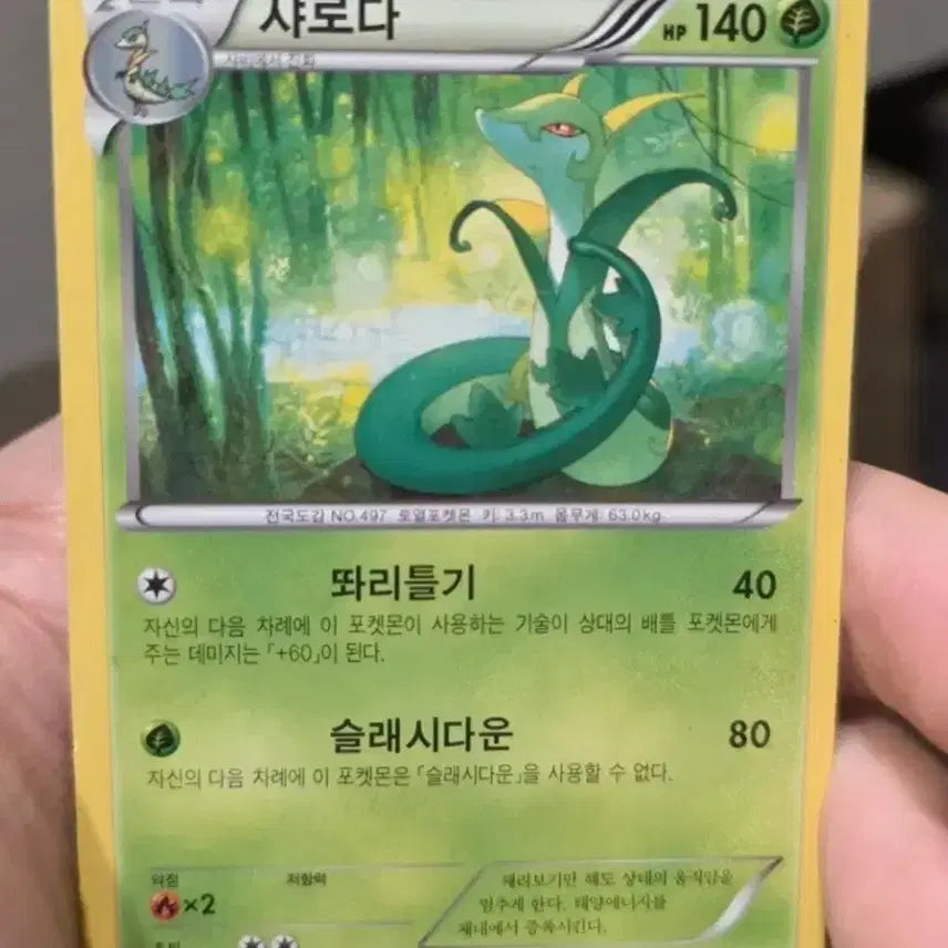 [BUNJANG] Pokemon Card Serperior XY10 / 포켓몬카드 샤로다 XY10