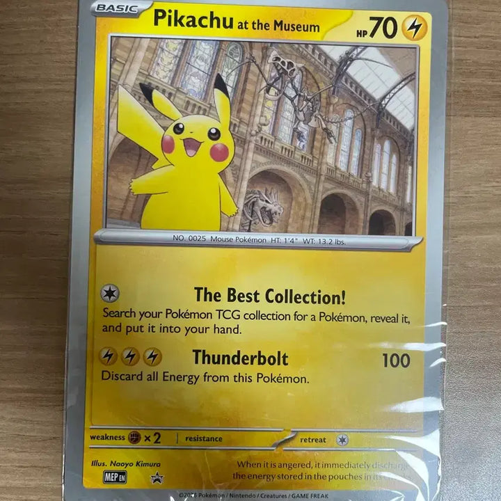 [BUNJANG] Pokemon Card Natural History Museum Pikachu / 포켓몬 카드 자연사박물관 피카츄