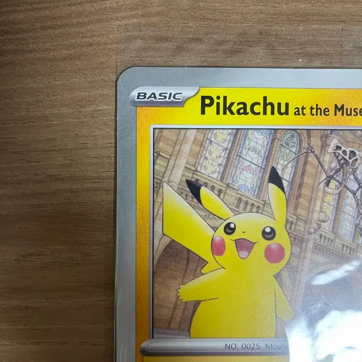 [BUNJANG] Pokemon Card Natural History Museum Pikachu / 포켓몬 카드 자연사박물관 피카츄