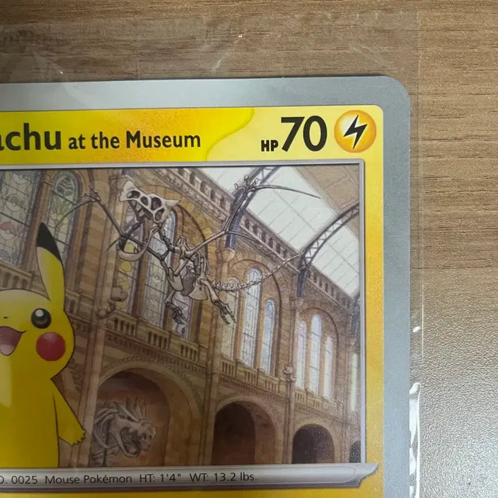 [BUNJANG] Pokemon Card Natural History Museum Pikachu / 포켓몬 카드 자연사박물관 피카츄