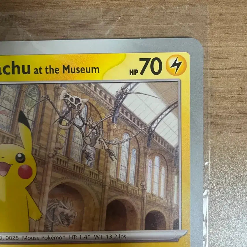 [BUNJANG] Pokemon Card Natural History Museum Pikachu / 포켓몬 카드 자연사박물관 피카츄