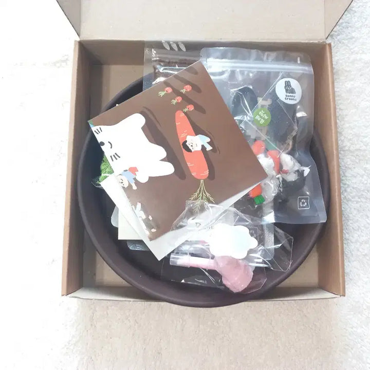 [SOLD OUT] 바니그라운드 내 손으로 만드는 새싹 농장 꼬마농장 톡톡 터지는 물감볼
