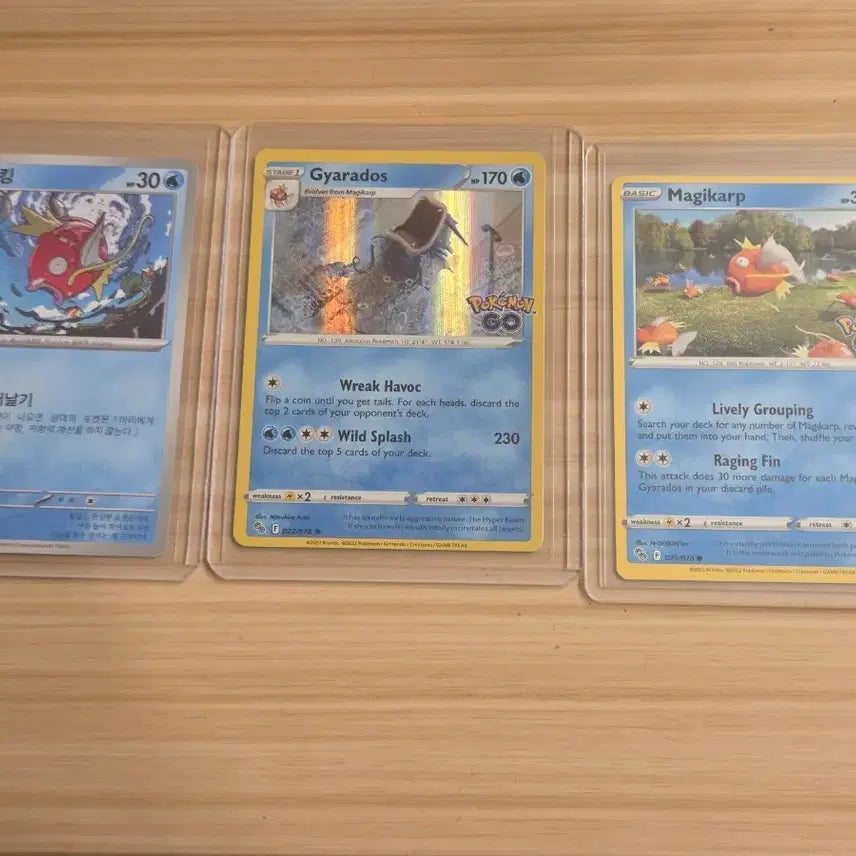 [BUNJANG] Pokemon Card Magikarp/Gyarados/Magikarp GO Version North America/Korea Set / 포켓몬 카드 잉어킹/갸라도스/잉어킹 GO 버전 북미/한판