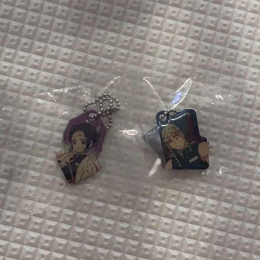 [BUNJANG] Demon Slayer Shinobu Tengen Metal Keyring / 귀멸의칼날 시노부 텐겐 메탈키링 가챠교환가능