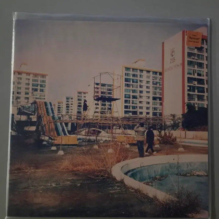 [BUNJANG] Saysoomee Where We Are Together Sealed LP / 세이수미 - Where We Were Together 미개봉 lp