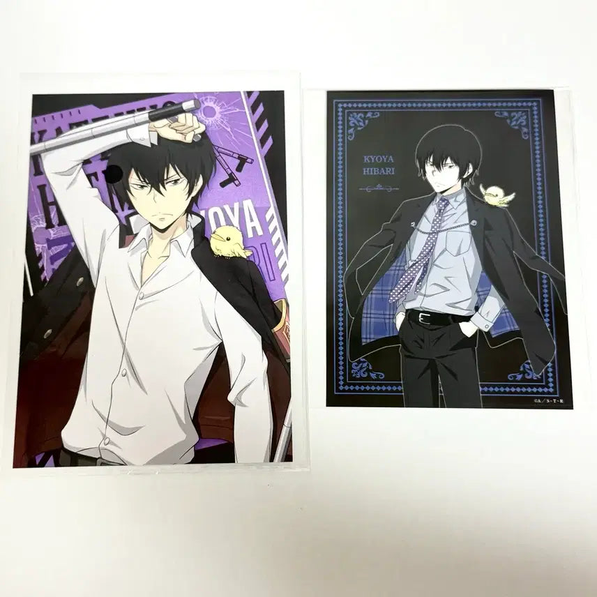 [BUNJANG] Katekyo Hitman Reborn! Hibari Kyoya Postcard Acrylic Card / 가히리 가정교사히트맨리본 히바리 쿄야 엽서 아크릴 카드