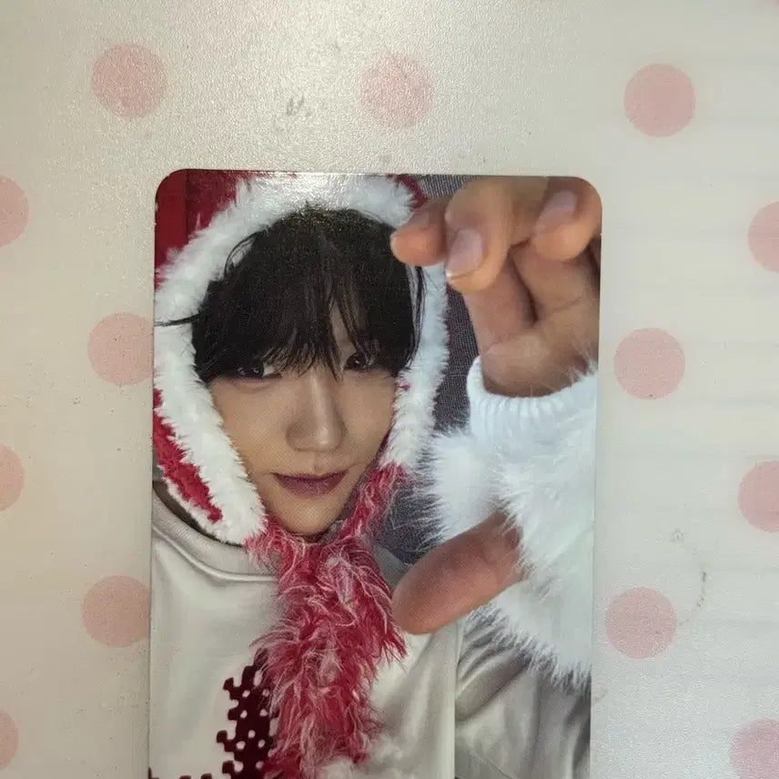 [BUNJANG] NCT WISH Odd To Love Package Version Jaehee Photocard / 엔시티위시 오드투러브 패키지버전 티티 재희 포카 포토카드 초회한정