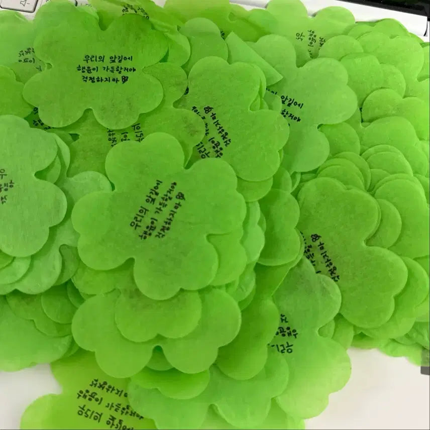 [BUNJANG] Day6 Wonpil Concert Handwritten Four-Leaf Clover Confetti Bundle Set / 데이식스 원필 콘서트 손글씨 네잎클로버 컨페티 양도 판매