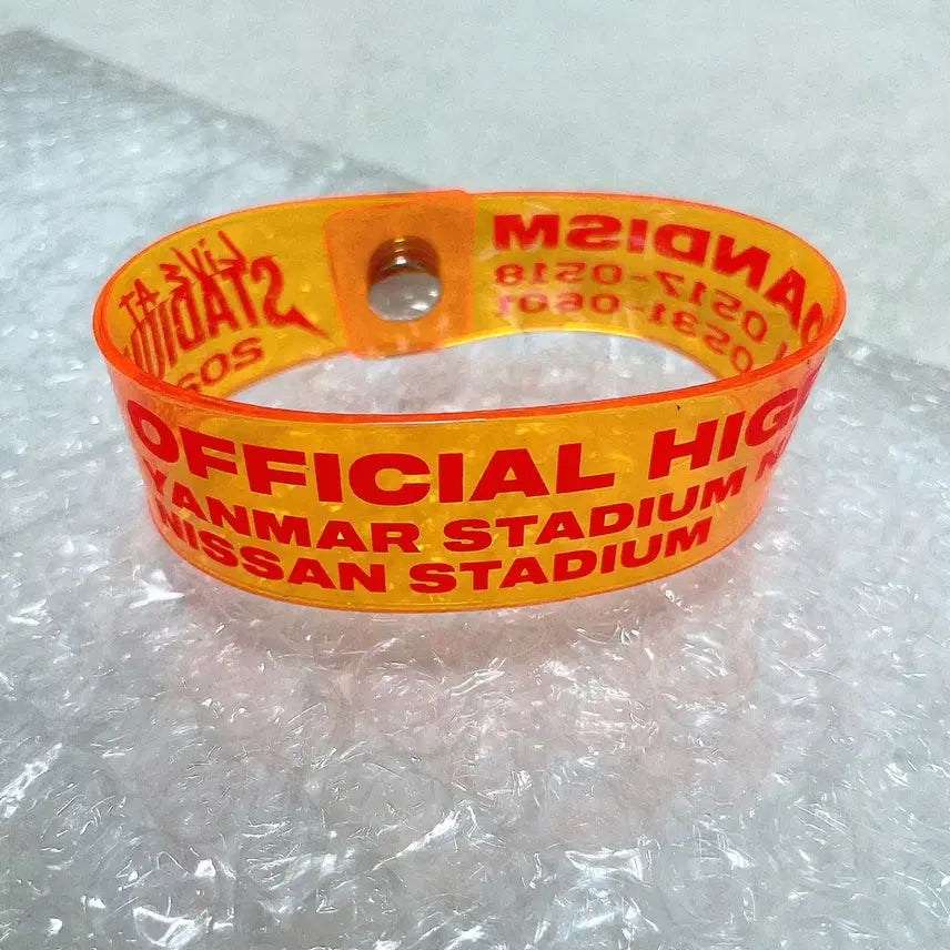 [BUNJANG] Official Higedan 2025 Stadium Live Band / 히게단 2025 스타디움 라바반