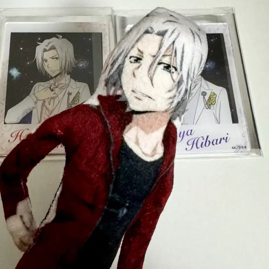 [BUNJANG] Gokudera Hayato Funny Plush Doll / 가히리 가정교사히트맨리본 고쿠데라 하야토 이상하게 웃긴 인형