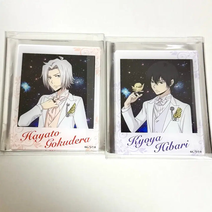 [BUNJANG] Gokudera Hayato Funny Plush Doll / 가히리 가정교사히트맨리본 고쿠데라 하야토 이상하게 웃긴 인형