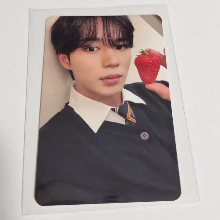 [BUNJANG] SEVENTEEN Junseol Strawberry Version Guangzhou Fan Sign POB Split Set / 준서 딸기 버전 광저우 팬싸 미공포 분철 알파드라이브원 알디원