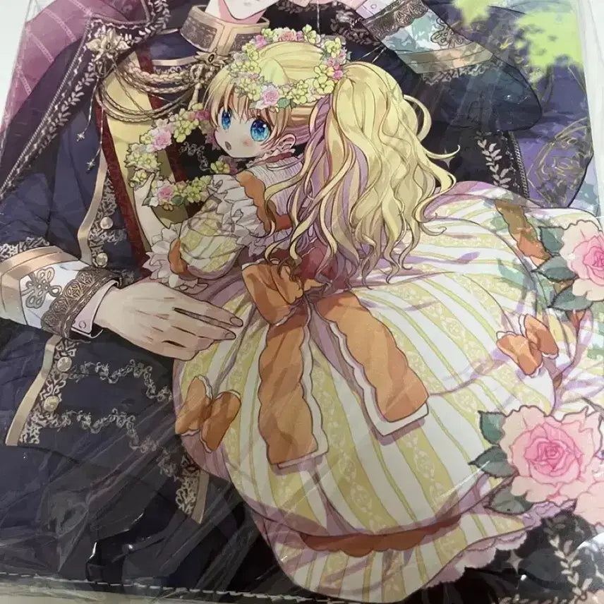 [BUNJANG] Who Made Me A Princess Binder / 어공주 중국 바인더 어느날공주가되어버렸다