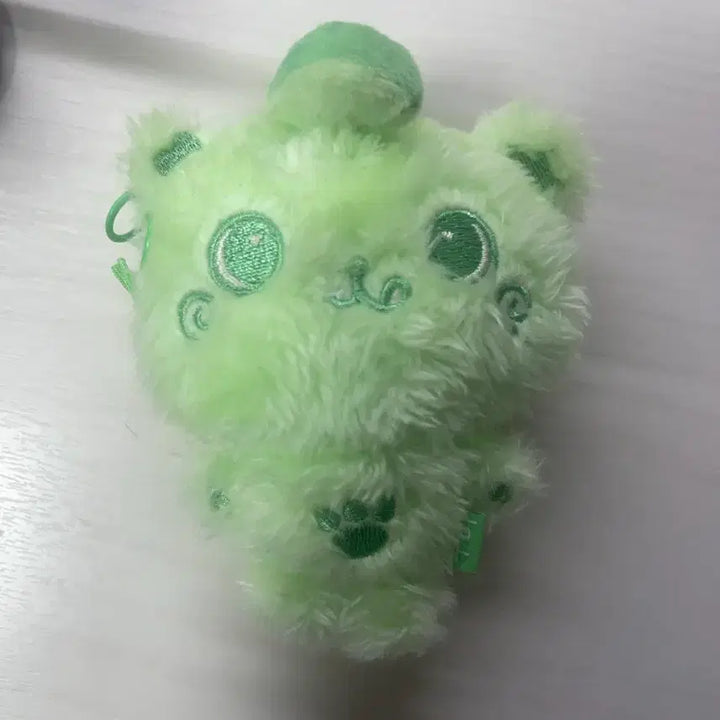 [BUNJANG] NCT WISH Riku Kuri Green Cookie Plush / 엔시티위시 리쿠 인형 쿠리 초록쿠키