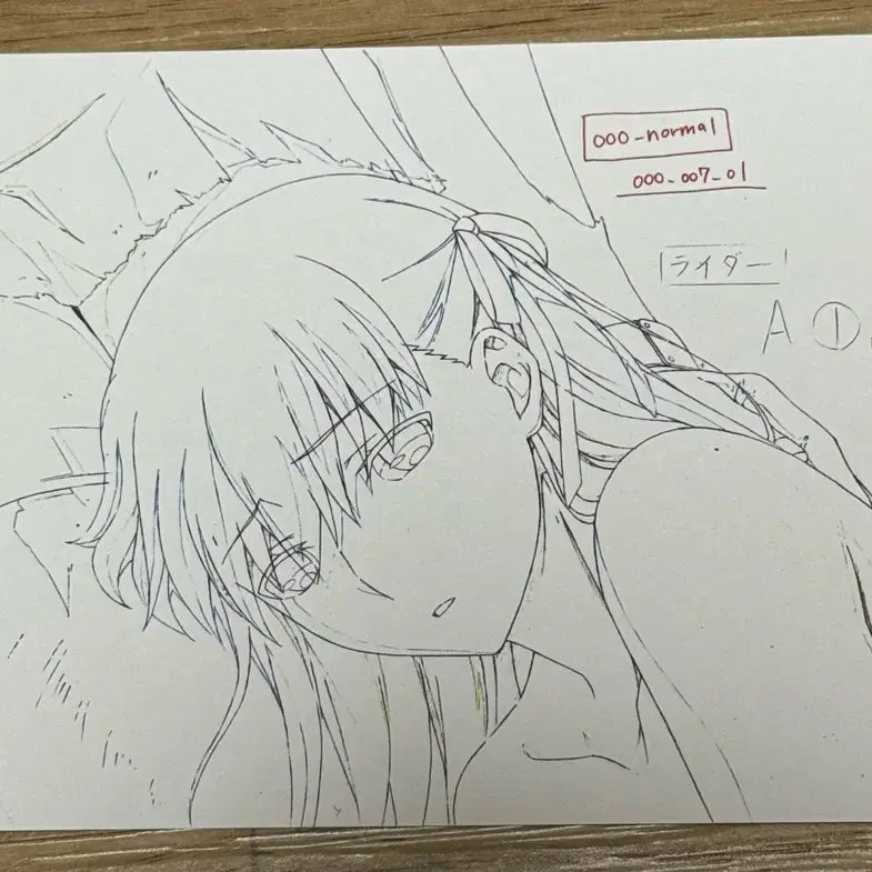 [BUNJANG] Fate/stay night [Heaven&