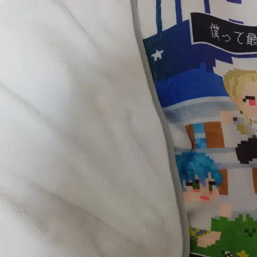 [BUNJANG] Charisma House Blanket / 카리스마 하우스 담요