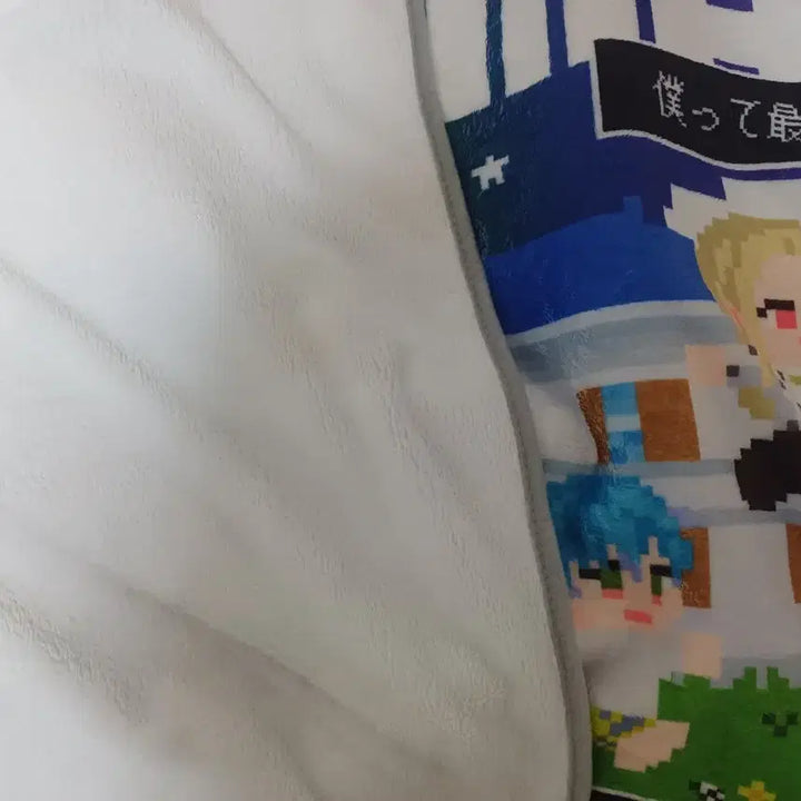 [BUNJANG] Charisma House Blanket / 카리스마 하우스 담요
