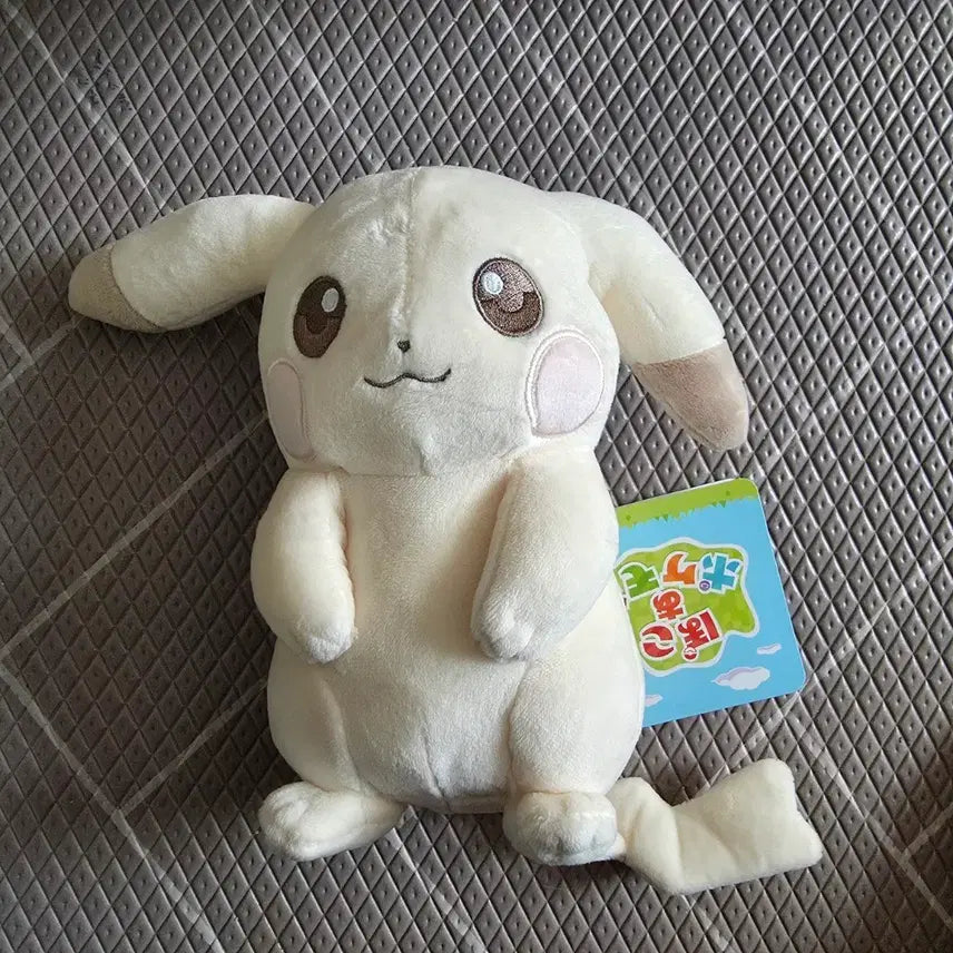 [BUNJANG] Pokemon Metamon Plush / 포켓몬스터 메타몽 팝업, 창백카츄 창백피카츄 봉제 인형