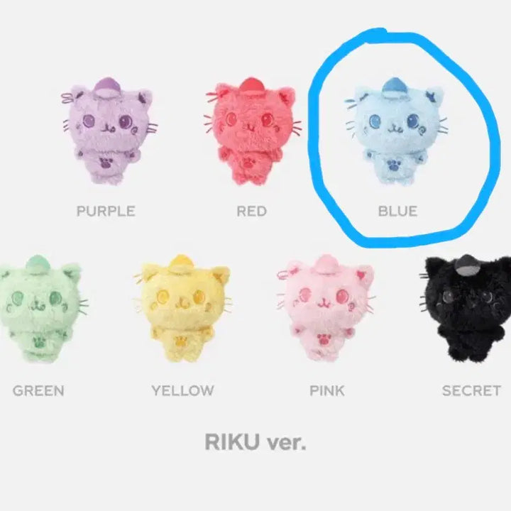 [BUNJANG] NCT WISH Riku Color Wish Doll / nct wish 엔시티위시 컬러위시돌 위부부 윗부부 리쿠 파랑 쿠리