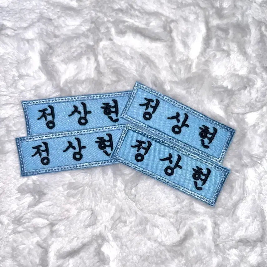 [BUNJANG] ALD1 Alpha Drive Won Jeonghyun Name Tag / 알디원ald1알파드라이브원정상현명찰양도판매