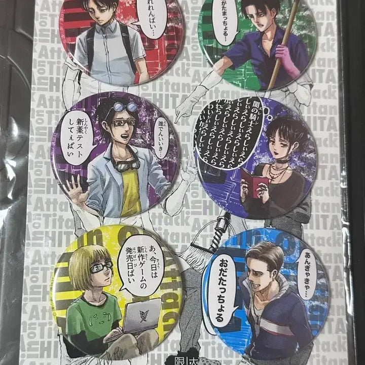 [BUNJANG] Attack on Titan Historia Limited School Caste Badge Set / 진격의거인 히타 한정 스쿨카스트 뱃지 세트