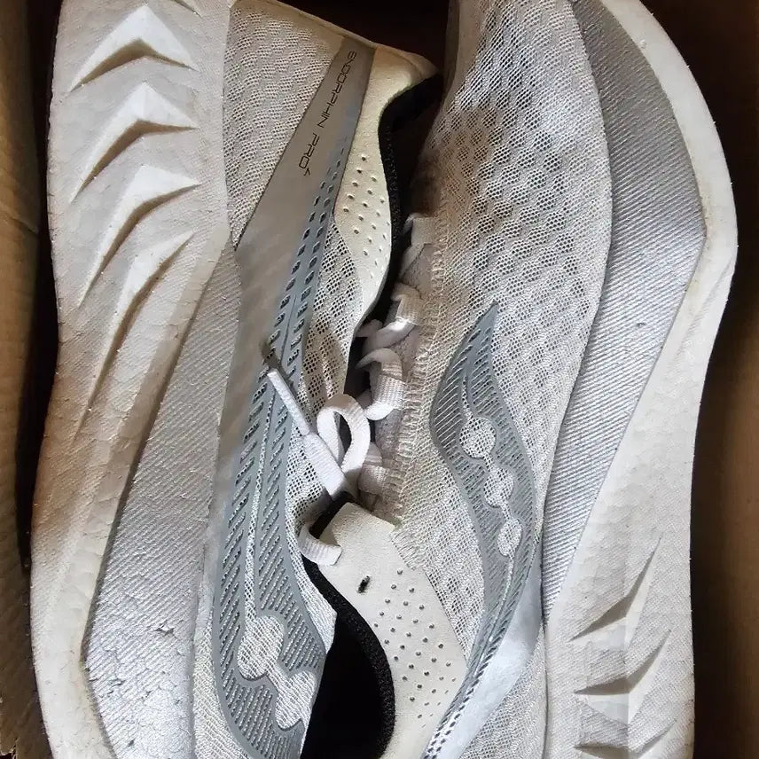 [BUNJANG] Saucony Endorphin Pro 4 Running Shoes (290mm) / 써코니 엔돌핀 프로4 290mm 팔아요