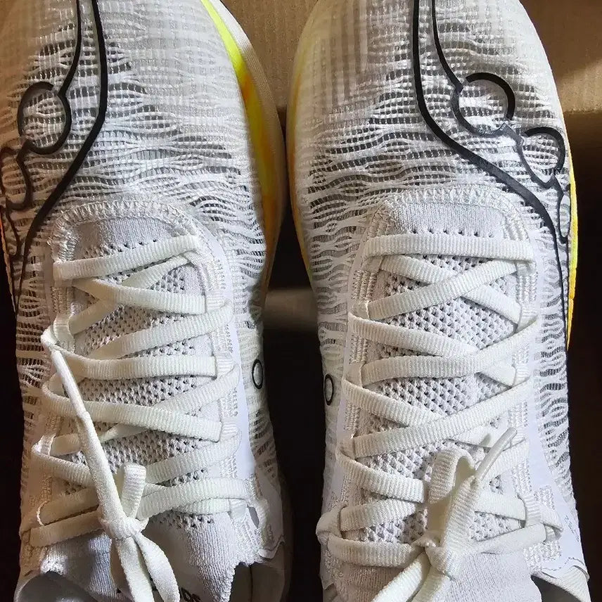 [BUNJANG] Saucony Endorphin Elite 2 Running Shoes (290mm) / 써코니 엔돌핀 엘리트2 290mm 팔아요