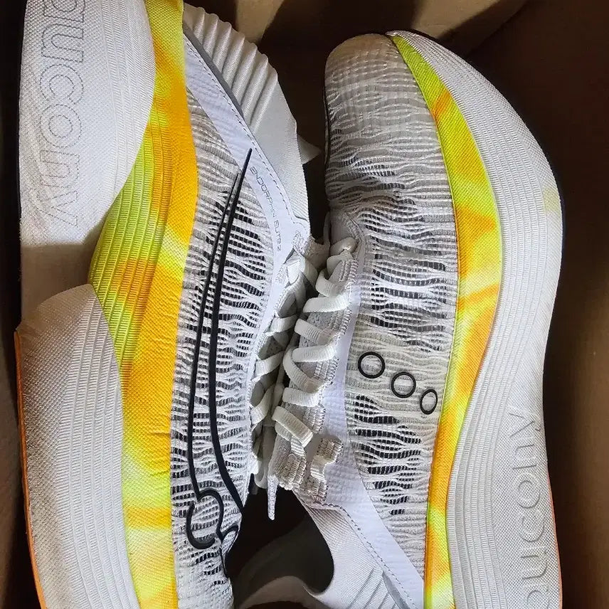 [BUNJANG] Saucony Endorphin Elite 2 Running Shoes (290mm) / 써코니 엔돌핀 엘리트2 290mm 팔아요
