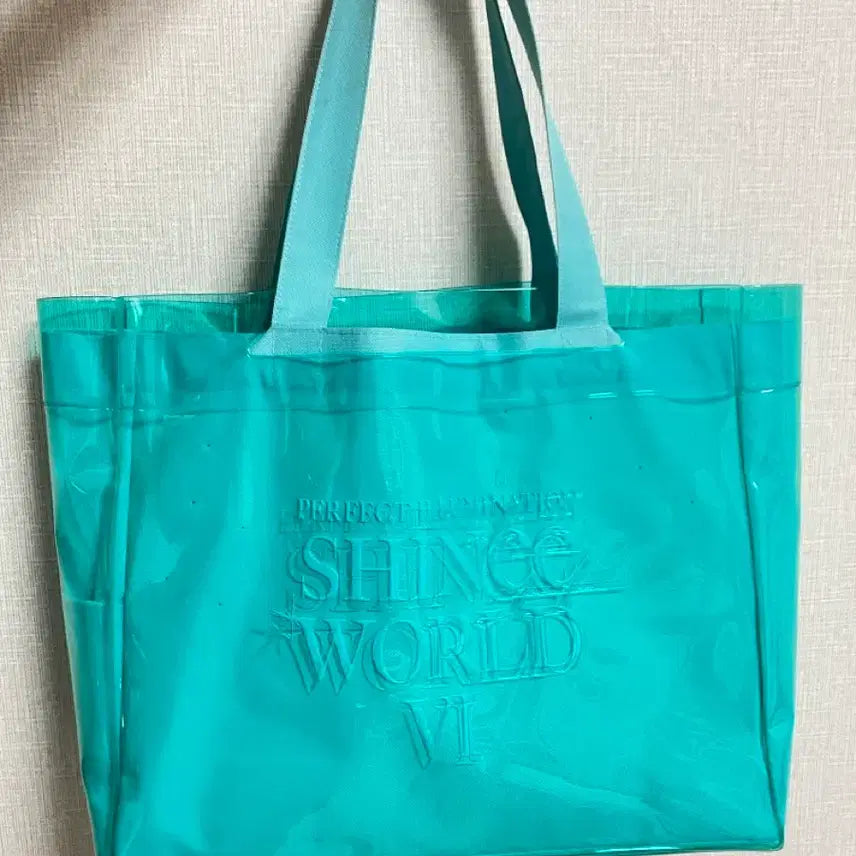 [BUNJANG] SHINee Tokyo Dome PVC Tote Bag / 샤이니 도쿄돔 민트색투명토트백 샤이니민트색가방