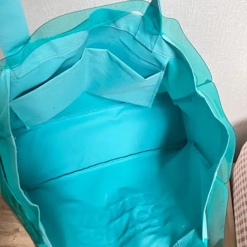 [BUNJANG] SHINee Tokyo Dome PVC Tote Bag / 샤이니 도쿄돔 민트색투명토트백 샤이니민트색가방