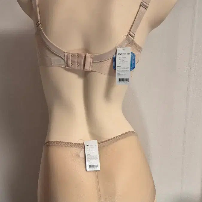 [BUNJANG] Vivien Non-Wire Bra and Panty Set (75C/90) / 비비안 75C 노와이어 브라 팬티 90세트