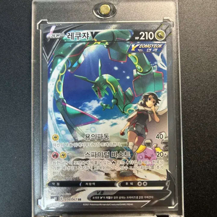 [BUNJANG] Rayquaza V Special Illustration Rare Card / 레쿠쟈 V 특일 sr 판매합니다