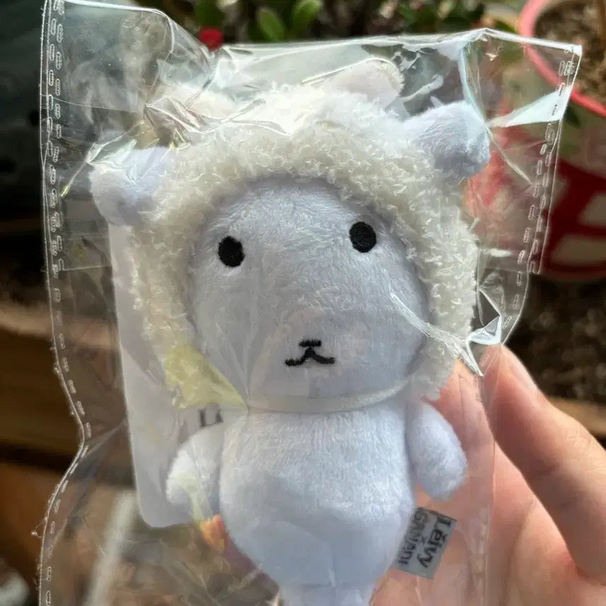 [BUNJANG] Raybi Ganady Doll (Sealed) / 미개봉 레이비 가나디 인형