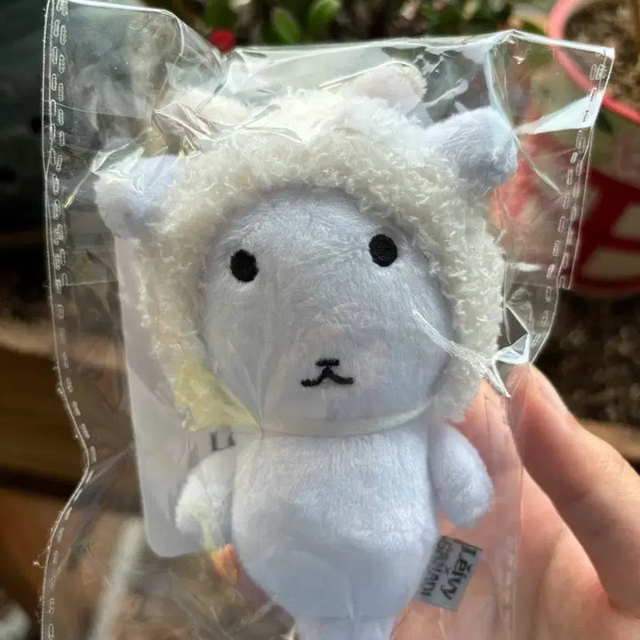 [BUNJANG] Raybi Ganady Doll (Sealed) / 미개봉 레이비 가나디 인형