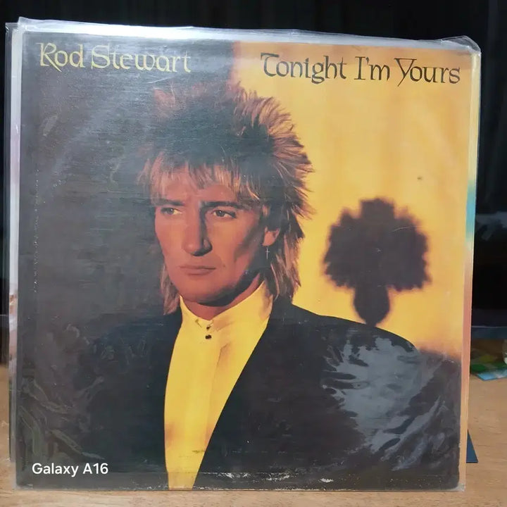 [BUNJANG] Rod Stewart Tonight I&