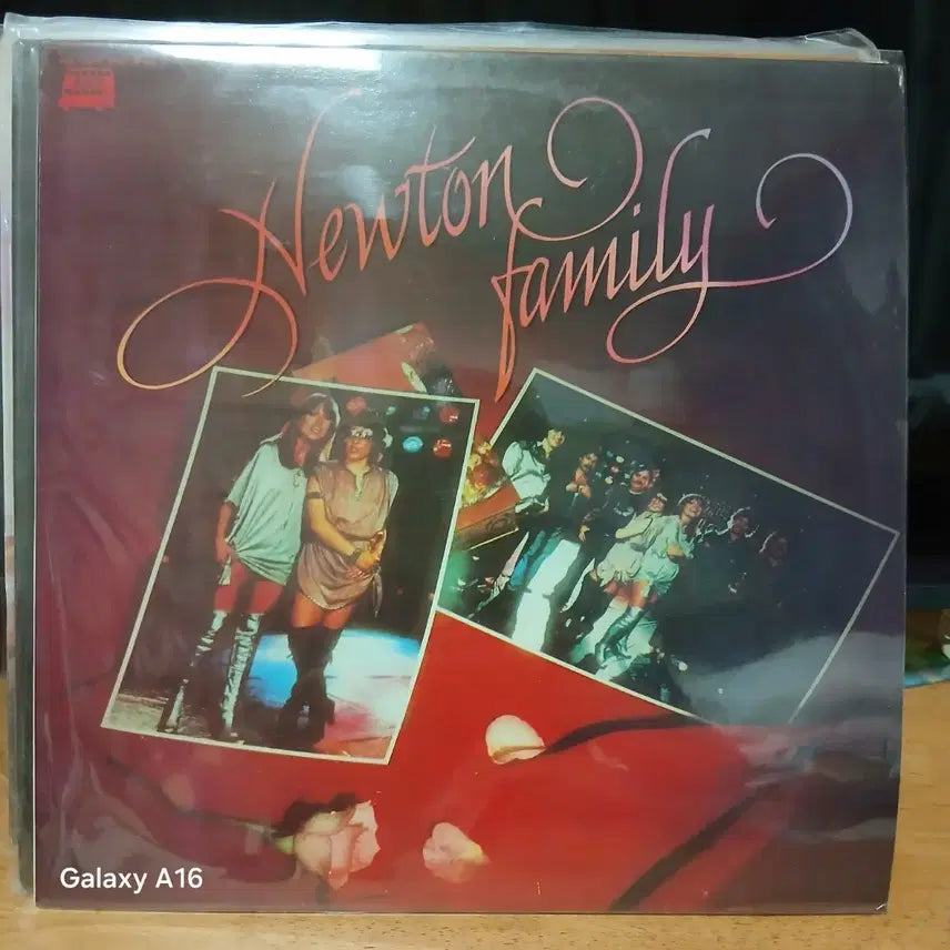 [BUNJANG] Newton Family LP Record / Newton Family 뉴턴 패밀리 LP 레코드판