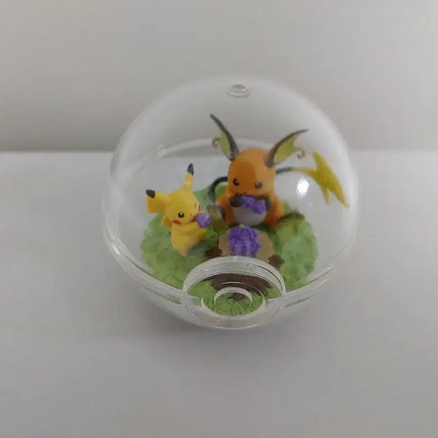 [BUNJANG] Pokémon Terrarium Vol. 14 Pikachu &amp; Raichu / 포켓몬스터 테라리움14 피카츄 라이츄