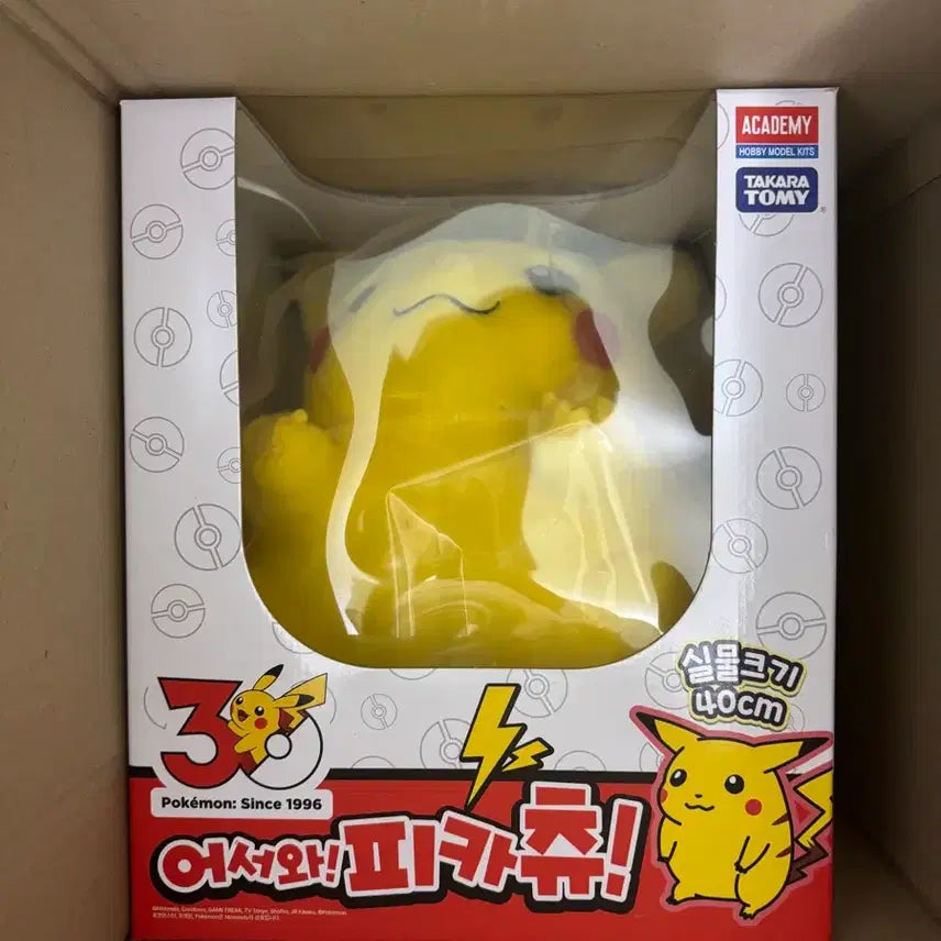 [BUNJANG] Pokemon 30th Anniversary "Welcome Pikachu" Plush Doll (Sealed) / 미개봉)포켓몬 30주년 어서와 피카츄 인형