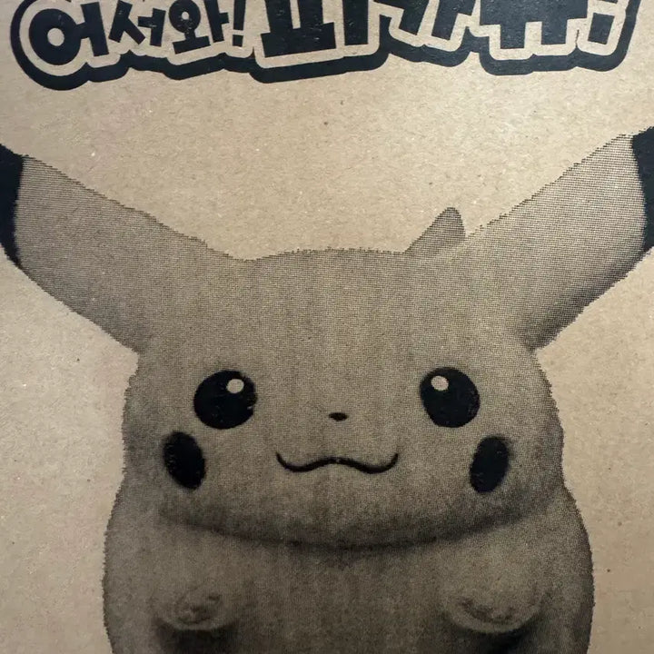 [BUNJANG] Pokemon 30th Anniversary "Welcome Pikachu" Plush Doll (Sealed) / 미개봉)포켓몬 30주년 어서와 피카츄 인형