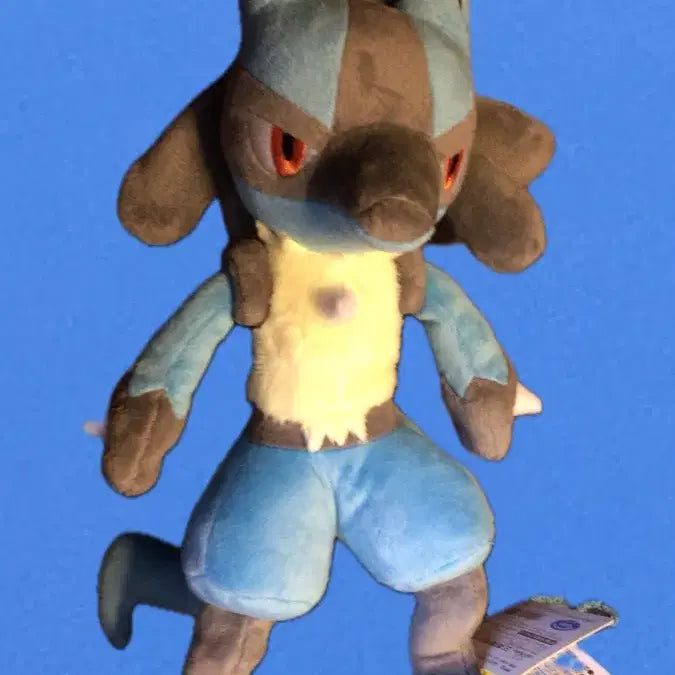 [BUNJANG] Pokemon All Star Collection Lucario Plush S / 포켓몬 올스타 컬렉션 루카리오 인형 s
