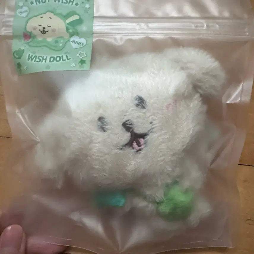 [BUNJANG] Wish Doll Dangtriever Sealed / 위시돌 댕트리버 미개봉 양도합니다